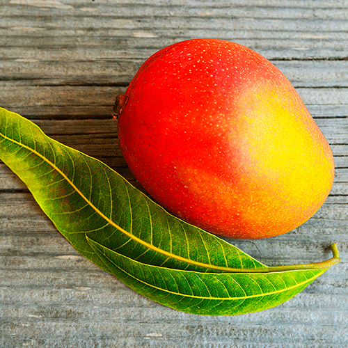 Pulpa de fruta congelada Mango